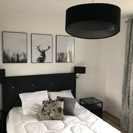 Les Bruyeres, Grand Jardin Cloture, Sauna * Corcieux