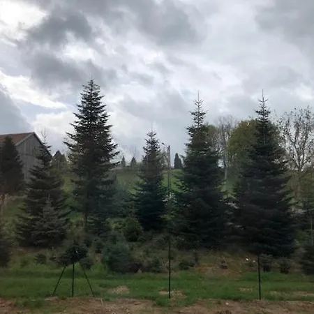 Les Bruyeres, Grand Jardin Cloture, Sauna Vila *