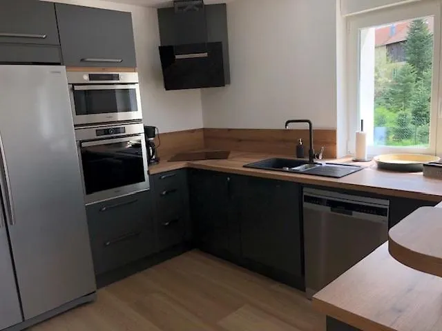 Les Bruyeres, Grand Jardin Cloture, Sauna Vila Corcieux