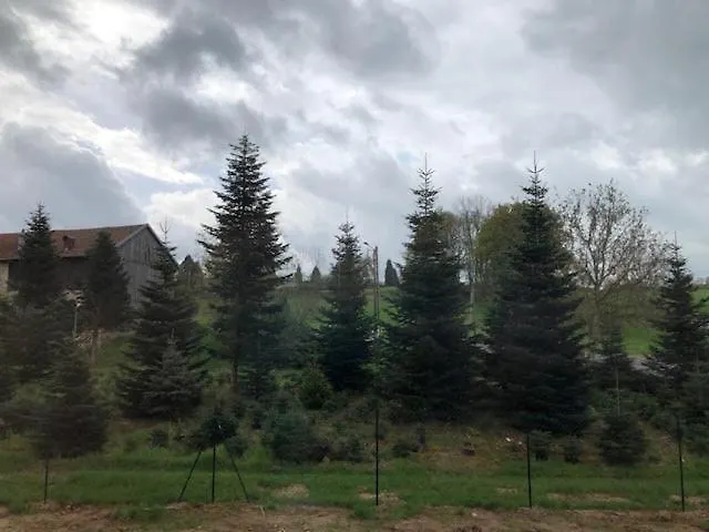 Les Bruyeres, Grand Jardin Cloture, Sauna Vila *